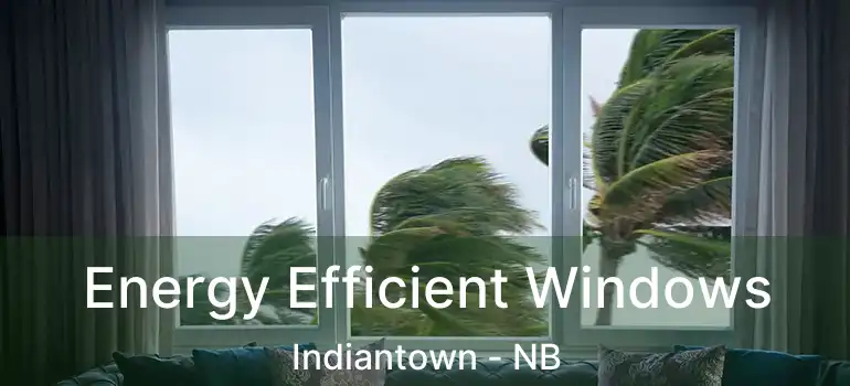 Energy Efficient Windows Indiantown - NB