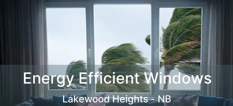  Energy Efficient Windows Lakewood Heights - NB