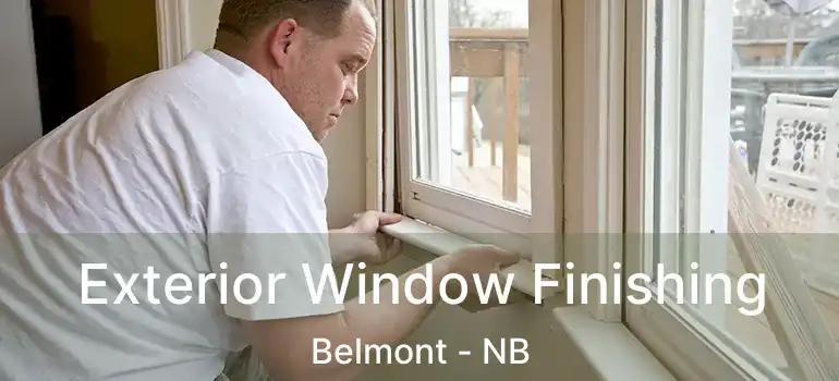  Exterior Window Finishing Belmont - NB