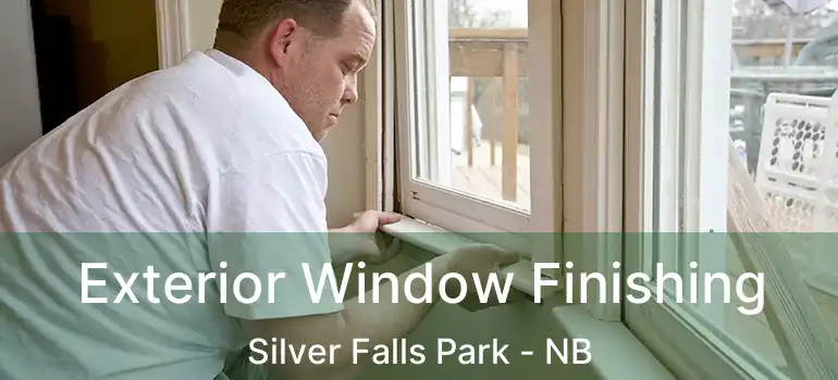  Exterior Window Finishing Silver Falls Park - NB