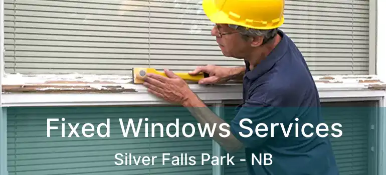  Fixed Windows Services Silver Falls Park - NB