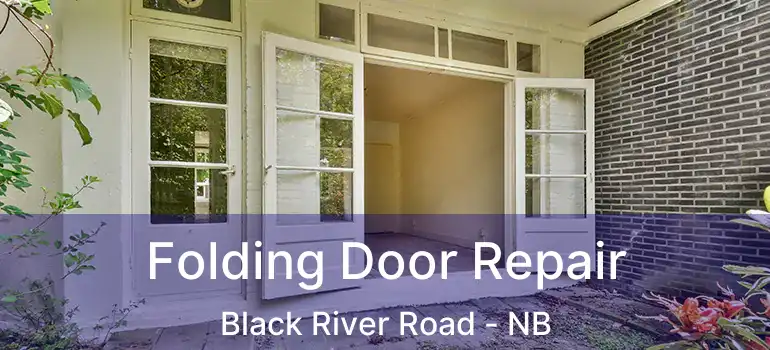  Folding Door Repair Black River Road - NB