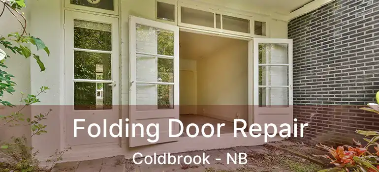  Folding Door Repair Coldbrook - NB