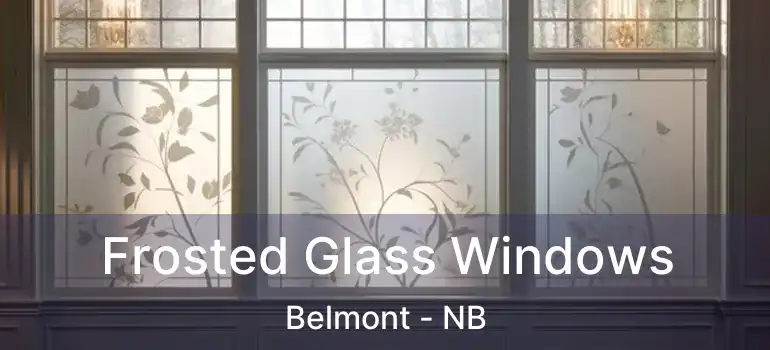  Frosted Glass Windows Belmont - NB