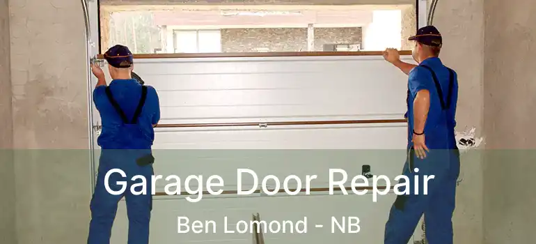  Garage Door Repair Ben Lomond - NB