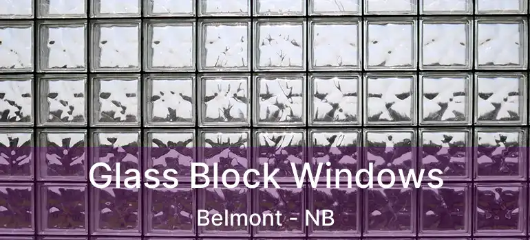  Glass Block Windows Belmont - NB