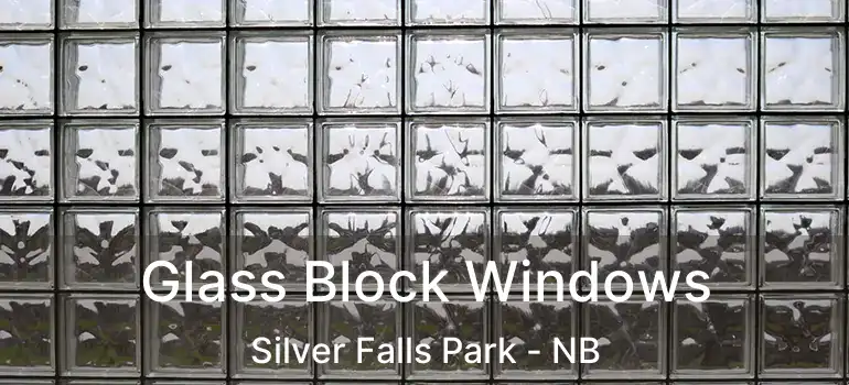  Glass Block Windows Silver Falls Park - NB