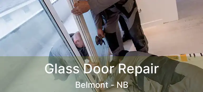  Glass Door Repair Belmont - NB