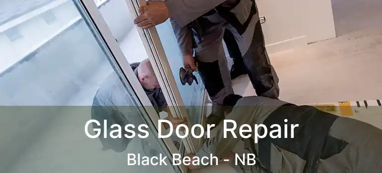  Glass Door Repair Black Beach - NB