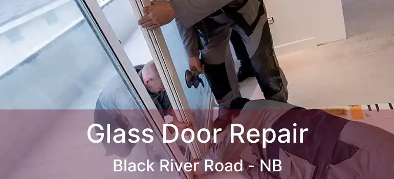  Glass Door Repair Black River Road - NB