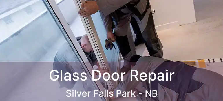  Glass Door Repair Silver Falls Park - NB