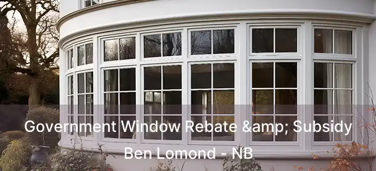  Government Window Rebate & Subsidy Ben Lomond - NB