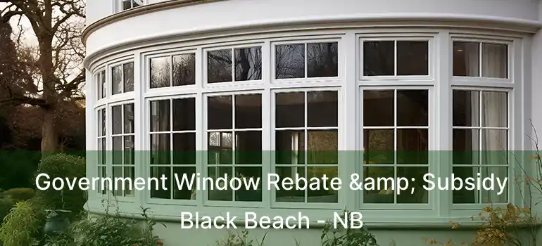  Government Window Rebate & Subsidy Black Beach - NB
