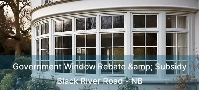  Government Window Rebate & Subsidy Black River Road - NB