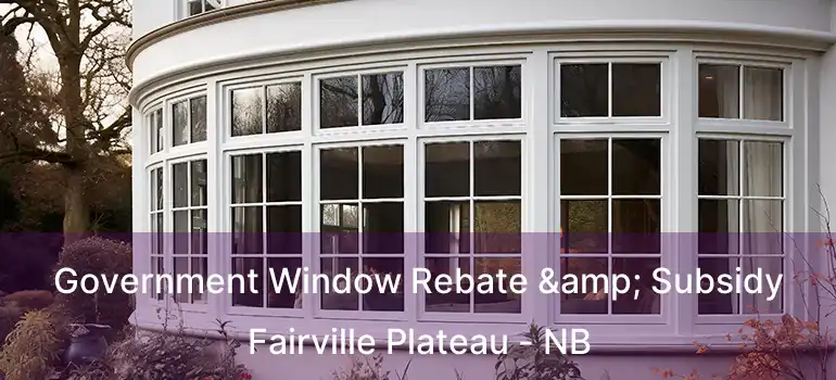  Government Window Rebate & Subsidy Fairville Plateau - NB