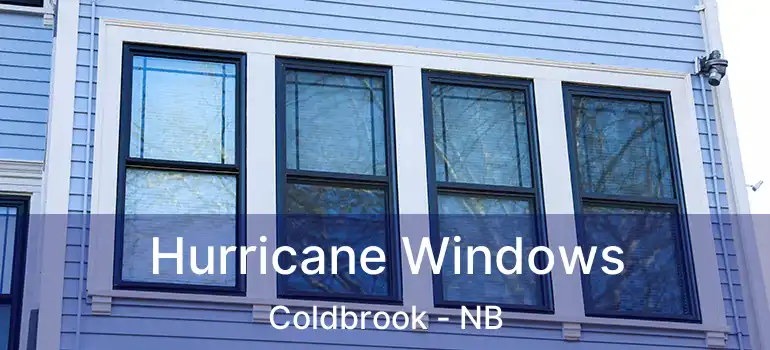  Hurricane Windows Coldbrook - NB