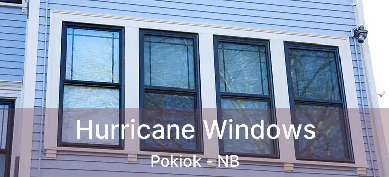  Hurricane Windows Pokiok - NB