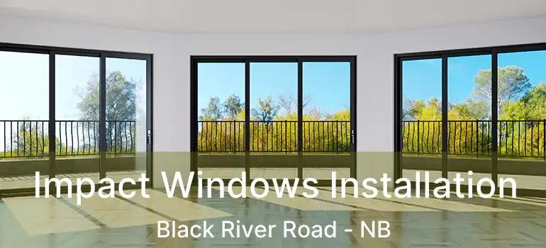  Impact Windows Installation Black River Road - NB