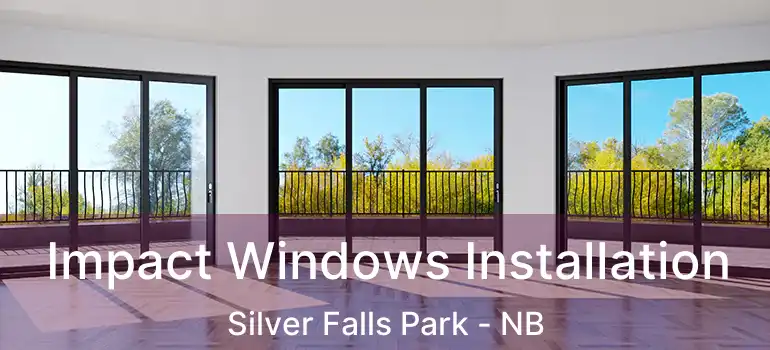  Impact Windows Installation Silver Falls Park - NB