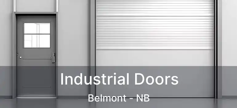  Industrial Doors Belmont - NB