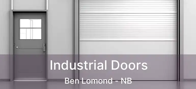  Industrial Doors Ben Lomond - NB