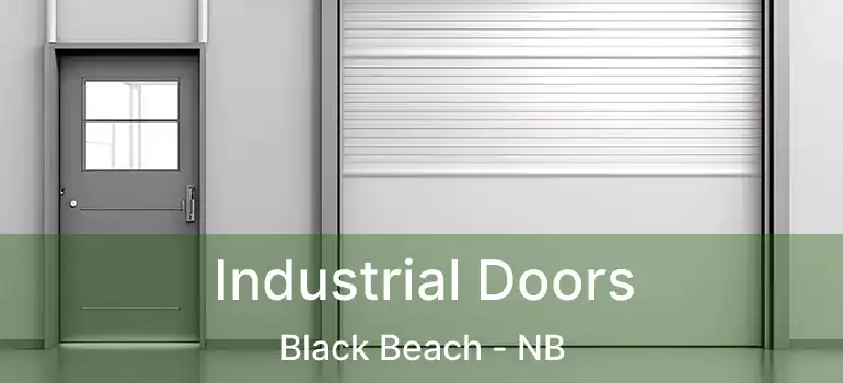  Industrial Doors Black Beach - NB