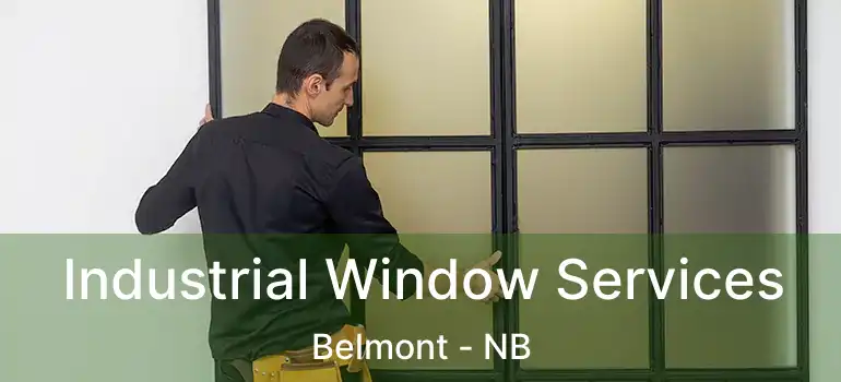  Industrial Window Services Belmont - NB