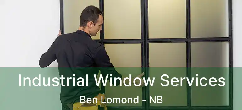  Industrial Window Services Ben Lomond - NB