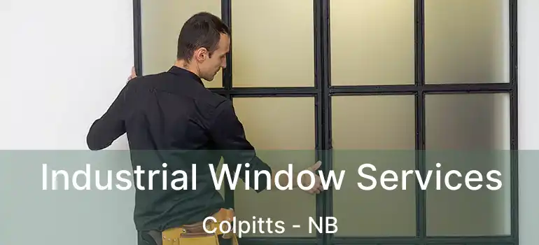  Industrial Window Services Colpitts - NB