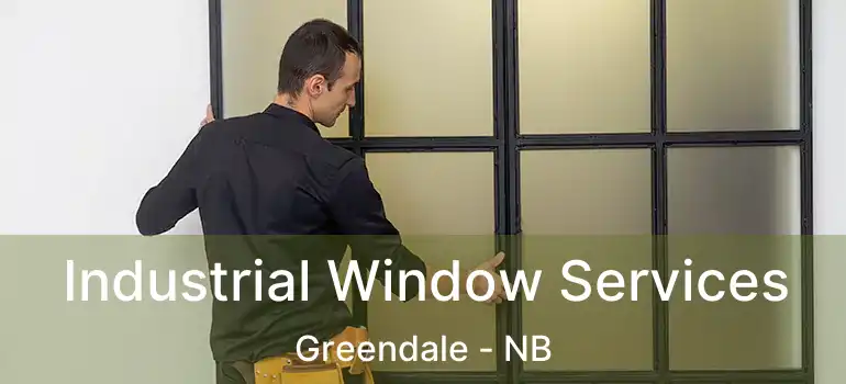  Industrial Window Services Greendale - NB