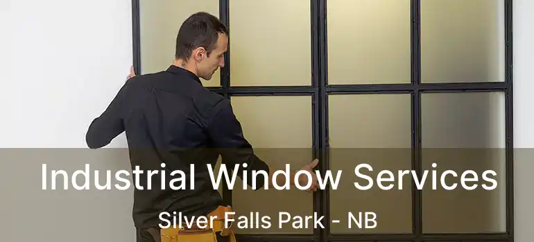  Industrial Window Services Silver Falls Park - NB
