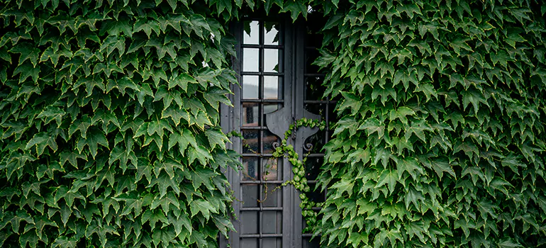 Garden Gate Repair in Saint John, NB