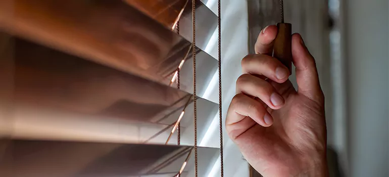Double Roller Blinds in Saint John, New Brunswick