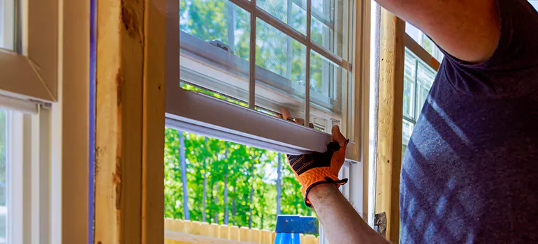 Decorative Window Film Services in Saint John, NB
