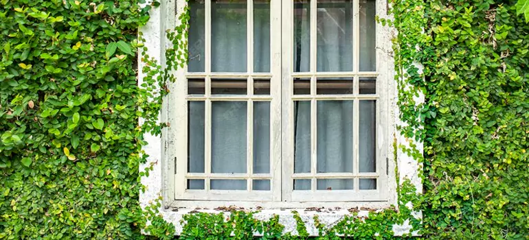 arden Window Repair Near Me in Saint John, NB