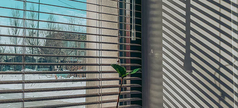 Commercial Window Blinds in Saint John, NB