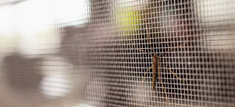 Repair Mosquito Mesh For Windows in Saint John, New Brunswick