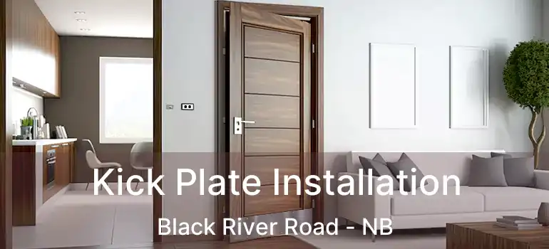  Kick Plate Installation Black River Road - NB