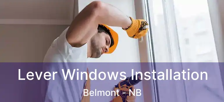  Lever Windows Installation Belmont - NB