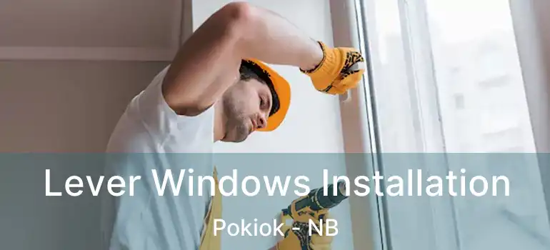 Lever Windows Installation Pokiok - NB