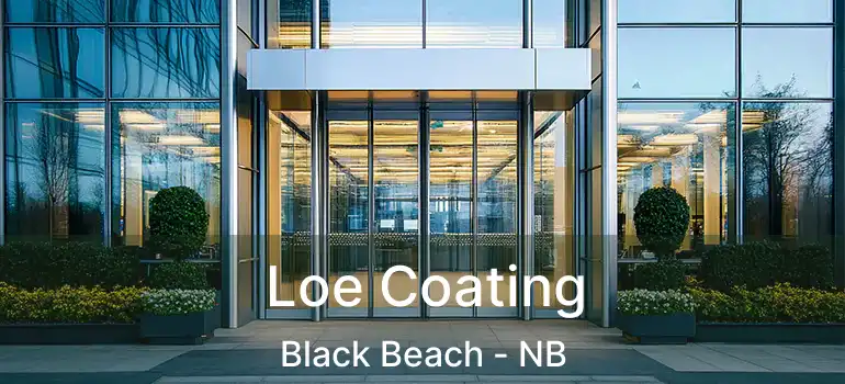  Loe Coating Black Beach - NB