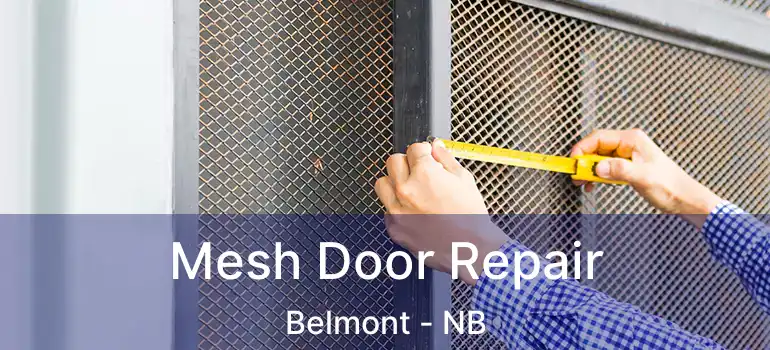  Mesh Door Repair Belmont - NB