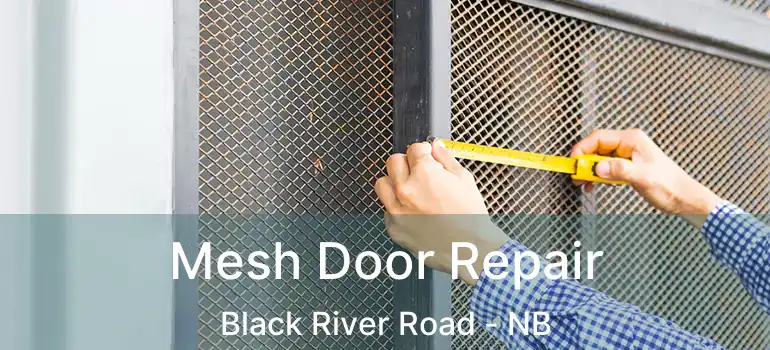  Mesh Door Repair Black River Road - NB