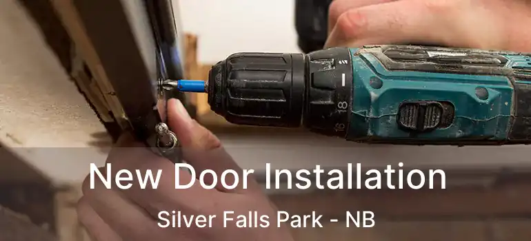  New Door Installation Silver Falls Park - NB