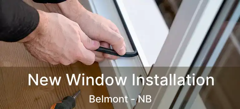 New Window Installation Belmont - NB
