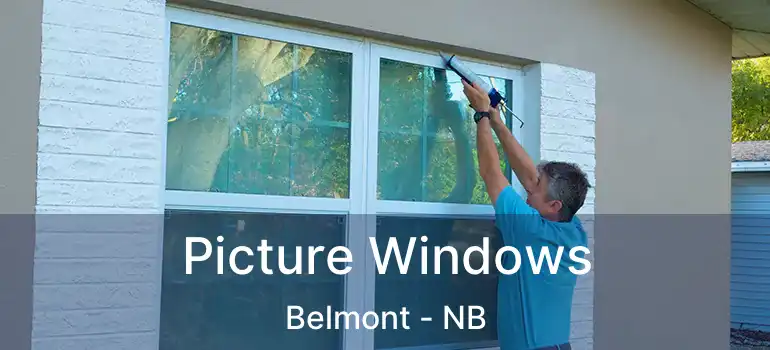  Picture Windows Belmont - NB