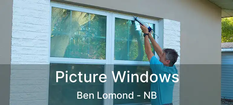  Picture Windows Ben Lomond - NB