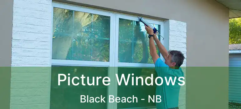  Picture Windows Black Beach - NB