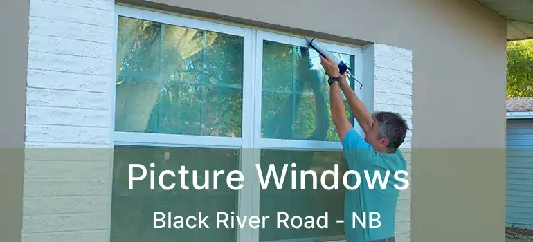  Picture Windows Black River Road - NB