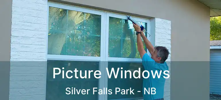  Picture Windows Silver Falls Park - NB